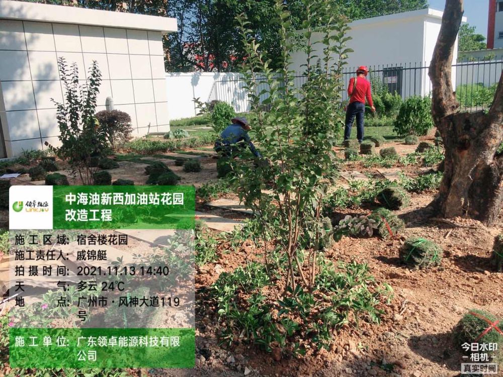 中海油新西加油站小花園及雨污分流改造項目